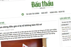 Báo Đấu thầu đã từng phản ánh về những rắc rối trong việc bán hồ sơ đấu giá tài sản thế chấp tại Công ty CP Đấu giá và Đấu thầu Việt Nam. Ảnh: Huyền Trang