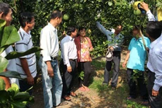 Đề nghị xây dựng Nghị định về tổ hợp tác