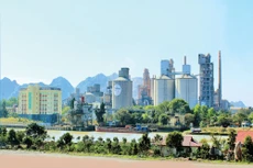 Xi măng Vicem Hoàng Thạch vẫn kiên trì với mục tiêu đề ra khi 7 tháng đầu năm lượng sản phẩm tiêu thụ đạt trên 2 triệu tấn