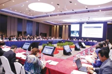 Tham dự Hội nghị có gần 200 đại biểu, gồm các quan chức cao cấp của 21 nền kinh tế thành viên APEC. Ảnh: Phương Hoa - TTXVN