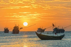 Khát vọng vươn cao