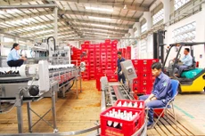 Nhà đầu tư Carlsberg muốn nắm giữ 51% cổ phần của Habeco, nhưng đang gặp khó khăn trong vấn đề về quyền ưu tiên mua trước. Ảnh: Ngọc Kỳ