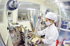 Traphaco hiện là doanh nghiệp hàng đầu trong mảng Đông dược nói riêng và dược phẩm nói chung