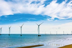 Công ty CP Năng lượng tái tạo Trung Nam vừa đạt được thỏa thuận gia hạn hàng nghìn tỷ đồng nợ trái phiếu với các trái chủ