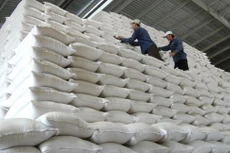 Theo kế hoạch, năm 2023, tổng lượng gạo cần mua để nhập kho dự trữ quốc gia là 220.000 tấn. Ảnh: Song Lê