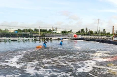 Gói thầu số 01 Tư vấn khảo sát, lập báo cáo nghiên cứu khả thi có giá 8,869 tỷ đồng, thuộc Dự án Phát triển thủy sản bền vững tỉnh Sóc Trăng. Ảnh minh họa: Minh Phong