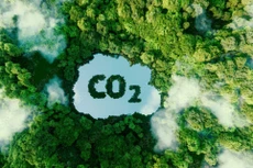 Để thành công điều hướng nguồn vốn đầu tư chảy vào các dự án bền vững, các lãnh đạo toàn cầu cần ưu tiên giảm rủi ro cho các dự án xanh. Ảnh Internet