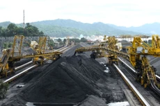 TKV tiếp tục duy trì 4 lĩnh vực kinh doanh chính