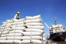 Xuất khẩu gạo dự báo đạt 4,5 tỷ USD
