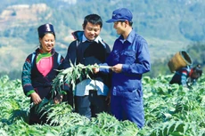 Giáo sư Hà Tôn Vinh: Doanh nghiệp trăm tuổi cũng khởi nghiệp từ một “hạt mầm”