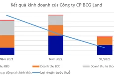 Nguồn: Báo cáo tài chính hợp nhất của BCG Land. Đơn vị tính: tỷ đồng