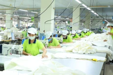 Việt Nam phấn đấu nằm trong nhóm 3 nước dẫn đầu ASEAN về tốc độ tăng năng suất lao động vào năm 2030. Ảnh: Lê Tiên