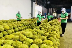 11 tháng, xuất khẩu nông, lâm, thủy sản thu về gần 48 tỷ USD