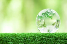 Ảnh minh họa: Internet