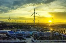 Theo Hội đồng Năng lượng gió toàn cầu, Việt Nam có khoảng 600 GWh điện gió chưa khai thác. Ảnh: Nhã Chi