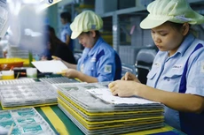 Việt Nam đặt mục tiêu đến năm 2030 đào tạo được 50.000 kỹ sư cho ngành vi mạch bán dẫn, trong đó có 15.000 kỹ sư chất lượng cao trong lĩnh vực thiết kế vi mạch. Ảnh: Nhã Chi