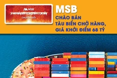 MSB chào bán tàu biển chở hàng, giá khởi điểm 68 tỷ đồng