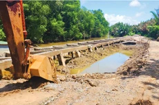Gần đây, Ban Quản lý dự án đầu tư xây dựng các công trình nông nghiệp và phát triển nông thôn tỉnh Bạc Liêu mời thầu nhiều gói thầu bảo hiểm xây dựng kè và xử lý xói lở. Ảnh minh họa: Hoàng Nam