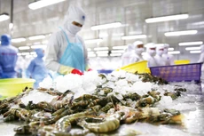 Xuất khẩu, đầu tư và tiêu dùng sẽ tiếp tục là những động lực tăng trưởng của nền kinh tế. Ảnh: Lê Tiên