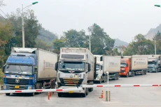 Thời gian kiểm tra thông quan còn chậm, ảnh hưởng đến chất lượng hàng hóa, đặc biệt là nông sản. Ảnh: Phan Hậu