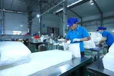 Doanh nghiệp còn e ngại các thủ tục hậu kiểm, thanh tra, kiểm toán, kiểm tra gói hỗ trợ lãi suất của cơ quan nhà nước có thẩm quyền. Ảnh: Huấn Anh