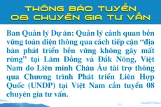 Thông báo tuyển 8 chuyên gia tư vấn