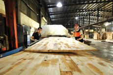 Doanh nghiệp Việt Nam đang chịu nhiều tác động tiêu cực từ sự suy giảm của hoạt động xuất khẩu, đầu tư, tiêu dùng. Ảnh: Tuấn Anh