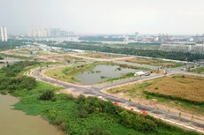 Cách xác định giá khởi điểm của một số tài sản đặc thù, đặc biệt là quyền sử dụng đất, cần được quy định ở các luật chuyên ngành. Ảnh: Nhã Chi