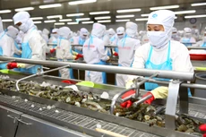 Doanh nghiệp xuất khẩu phải xanh hóa sản xuất để đáp ứng tiêu chuẩn ngày càng cao của các thị trường lớn. Ảnh: Lê Tiên