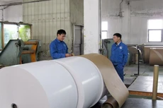 GVT trả cổ tức 36% bằng tiền mặt