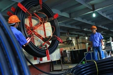 Tính liên kết của doanh nghiệp tư nhân rất yếu, thiếu doanh nghiệp lớn dẫn dắt. Ảnh: Nhã Chi