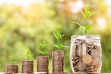 Quý IV/2022, TIG báo lãi giảm 74,4%