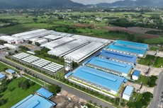 SZC trả cổ tức với tỷ lệ 20%