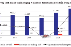 Mất lợi thế về giá, Vinachem dự báo lợi nhuận giảm sâu