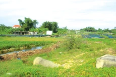 Dự án Nạo vét, thoát lũ khẩn cấp và chống xâm nhập mặn sông Cổ Cò đang gặp nhiều vướng mắc trong việc triển khai. Ảnh: Minh Hạnh