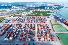 Xây tầm nhìn dài hạn cho tương lai Việt Nam