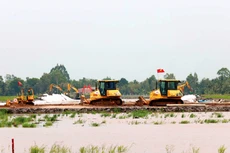 Nhà thầu thi công Dự án thành phần đoạn Cần Thơ - Hậu Giang. Ảnh: Dương Giang