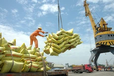 Tăng cường các giải pháp thúc đẩy sản xuất, xuất khẩu gạo