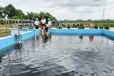 Bình Dương: Khảo sát, thiết kế bản vẽ thi công - dự toán Dự án Cải thiện môi trường nước 