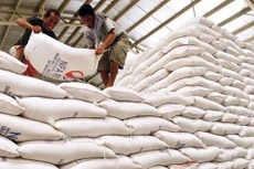 Xuất cấp gạo cho 6 địa phương hỗ trợ Nhân dân thời gian giáp hạt năm 2023