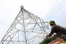 Ảnh chỉ mang tính minh họa: Internet