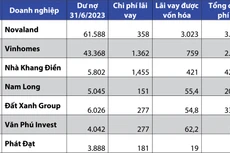 Nợ vay và chi phí lãi vay của một số doanh nghiệp bất động sản. Nguồn: Báo cáo tài chính hợp nhất bán niên 2023 sau soát xét của doanh nghiệp (Đơn vị tính: tỷ đồng)