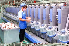 Từ năm 2022 đến nay, Công ty TNHH Công nghiệp Dệt may Thái Bình Dương trúng 4 gói thầu tại Tổng cục Dự trữ Nhà nước thì 3 gói thầu bị chấm dứt hợp đồng. Ảnh: TBT