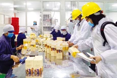 Công ty TNHH Vĩnh Hiệp là một trong những doanh nghiệp tiên phong xuất khẩu sản phẩm cafe phát thải thấp theo tiêu chuẩn của các nhà mua hàng quốc tế