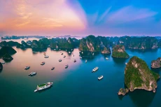 HSBC: Ngành dịch vụ của Việt Nam vẫn tiếp tục là một điểm sáng