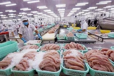 Xuất khẩu cá tra sang Đức tiếp tục tăng trưởng