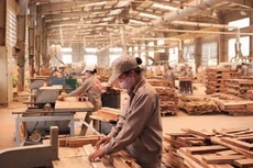 Ảnh chỉ mang tính minh họa: Internet