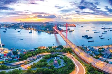 Việt Nam tự tin bước vào năm mới