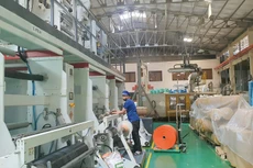 Nhiều doanh nghiệp lớn chung tay cùng Điện lực TP.HCM sử dụng điện tiết kiệm, hiệu quả