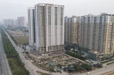 Ảnh minh họa: Internet